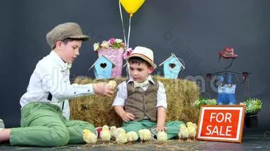 村里，穿着时髦的男孩玩小鸭子和小鸡。 有专题装饰的工作室视频.. 纳米板